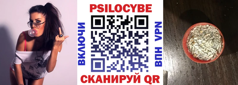 ОМГ ОМГ вход  где можно купить   Ясный  Псилоцибиновые грибы Psilocybe 