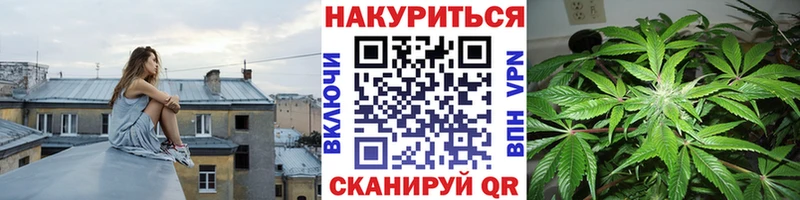 KRAKEN как зайти  Ясный  МАРИХУАНА OG Kush 